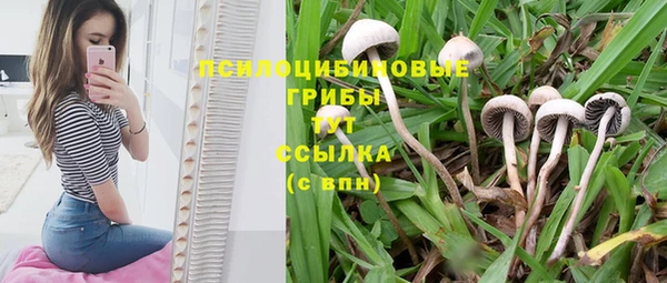 гидра Лабытнанги
