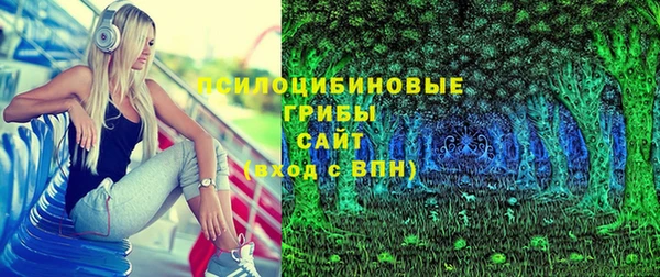 гидра Лабытнанги