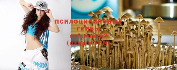 гидра Лабытнанги