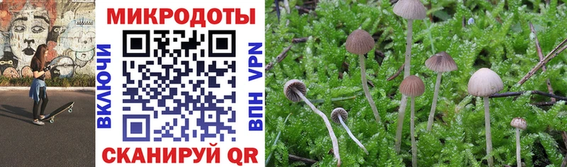 Псилоцибиновые грибы GOLDEN TEACHER  Купить закладки  Мураши 